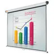 Ecran de projection mural - 175 x 109 cm - NOBO