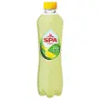24 SPA FRUIT LEMON-CACTUS 