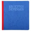 Piqûre Journal Recettes Dépenses 80 pages