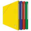10 Chemises - Alpina - Carte lustrée - coloris assortis - OXFORD