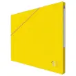 10 Chemises - Alpina - Carte lustrée - Jaune - OXFORD