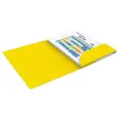 10 Chemises - Alpina - Carte lustrée - Jaune - OXFORD