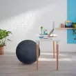 Ballon assise ergonomique Ergo Cosy Active - Ø 65 cm - Noir - Leitz