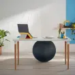 Ballon assise ergonomique Ergo Cosy Active - Ø 65 cm - Noir - Leitz
