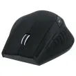 Souris ergonomique ERGO LINE - Sans fil - Droitier - T'nB