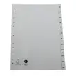 Jeu d'intercalaires mensuels FOREVER A4 - 12 touches - EXACOMPTA 