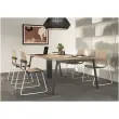 Table rectangulaire 200x120 H&ecirc;tre / Pi&eacute;t.Anthracite 