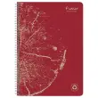 Cahier recycl&eacute; &agrave; spirales pages A4 lign&eacute;. 