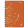Cahier recycl&eacute; &agrave; spirales pages A4 lign&eacute;. 