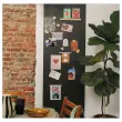 Revêtement mural magnétique adhésif Ferplex - 2m x 60cm - noir
