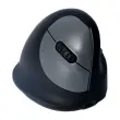 Souris egonomique sans fil droit