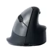 Souris egonomique sans fil droit