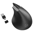 Souris sans fil ergonomique noir