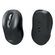 Souris sans fil Port connect