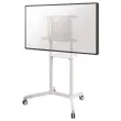 Ecran Flip 65" Samsung + support à roulettes Neomounts