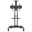Ecran 65" IIYAMA + support mobile à roulettes