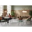 2 Chaises AMIO - Assise tissu et dossier noyer - Livr&eacute;es mont&eacute;es 