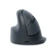 Souris ergonomique sans fil - Gaucher - Bluetooth - Gris - R-Go
