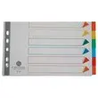Jeu d'intercalaires format A4+ - 12 onglets - FIDUCIAL 