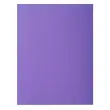 Paquet de 100 sous-chemises ROCK''S 80 - 22x31cm - Violine - EXACOMPTA 
