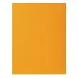 Paquet de 100 chemises ROCK''S 210 - 24x32cm - Ocre - EXACOMPTA