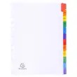 Intercalaires Imprimés mensuels carte blanche 160g - 12 positions - A4 - Blanc - EXACOMPTA