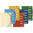 Trieur HARMONIKA® à fenêtres avec élastiques véritable carte lustrée 6 compartiments - Couleurs assorties - EXACOMPTA