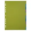Intercalaires FOREVER YOUNG PP A4 10P - Exacompta 
