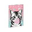 RNK Verlag Carton &agrave; dessin 'Sweet Cat', carton, A3 