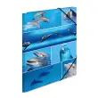 Chemise à élastiques Dauphins - carton - A3 - Herma