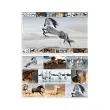HERMA Sous-main 'Chevaux', (L)550 x (H)350 mm 