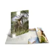 Chemise &agrave; &eacute;lastiques Chevaux - PP Glossy - A4 - Herma 