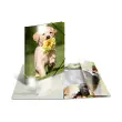Chemise &agrave; &eacute;lastiques Chevaux - PP Glossy - A4 - Herma 