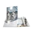 Chemise &agrave; &eacute;lastiques Chevaux - PP Glossy - A4 - Herma 