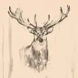 Serviettes à motif 'Deer', 330 x 330 mm, naturel - Papstar