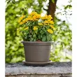 Pot de fleurs Basic round - diamètre 500 mm - Anthracite - Tera
