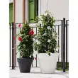 Pot de fleurs Standard One 40, antracite - Tera