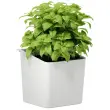 Pot pour herbes aromatiques, blanc - Tesa
