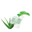 Pansements 'Aloe vera', pack de 10, blanc - Lifemed
