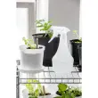 Vaporisateur 0,5 litre, transparent - Orthex