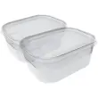 Set de 2 boîtes de congélation Helsinki, 0,7 L - Plast Team