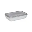 Boîte de congélation Polar, 3 litres, bleu - Plast Team