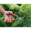 S&eacute;cateur de jardin 'S&eacute;cateur sp&eacute;cial rosier' - Garten Primus 