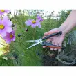 Ciseaux à plantes vivaces & à herbes - Garten Primus