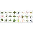 Rouleau de gommettes Arbres 360 unités - Apli