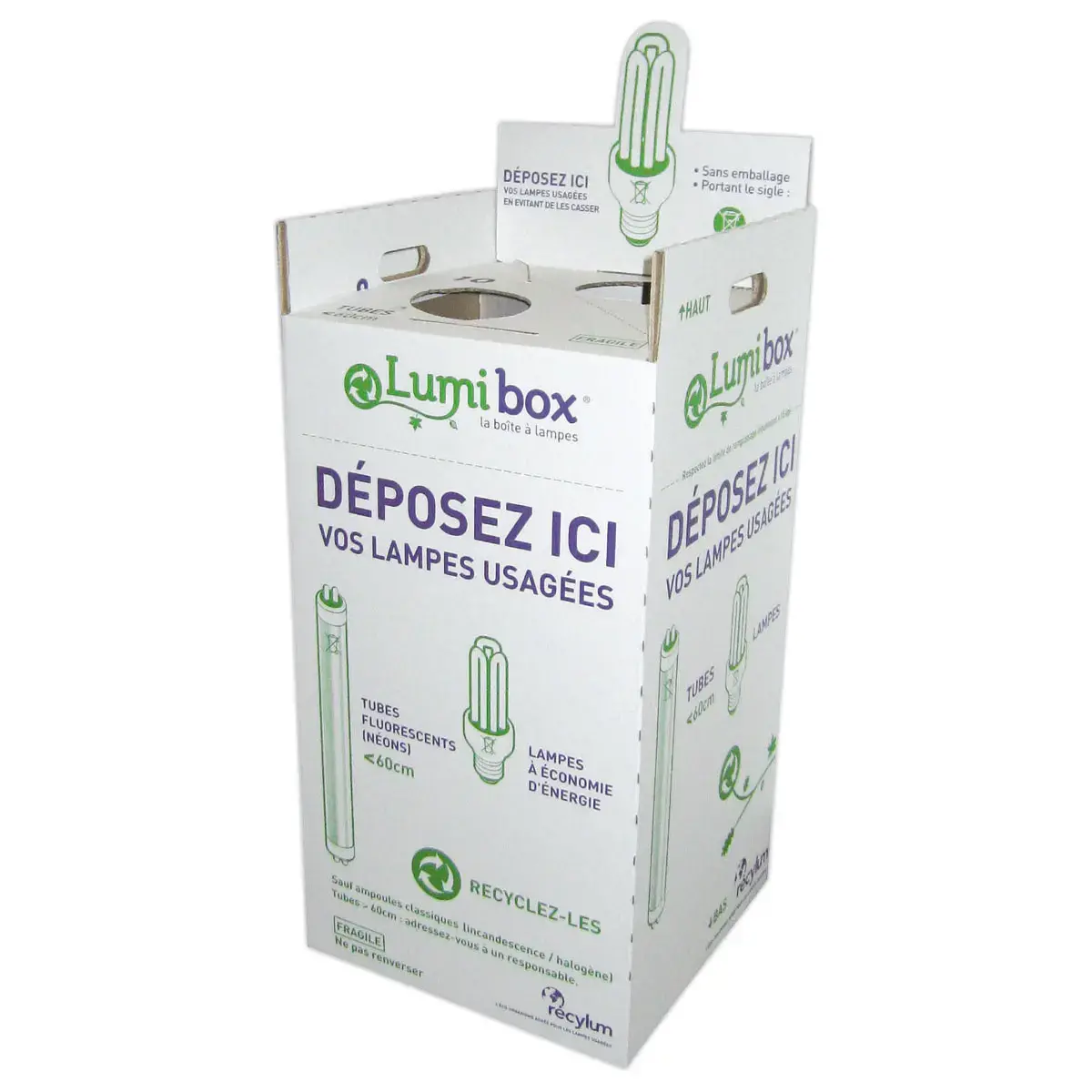 The Collect Box Ampoules Contenant