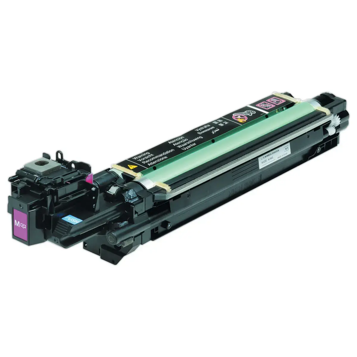 Tambour EPSON SO51202 magenta 
