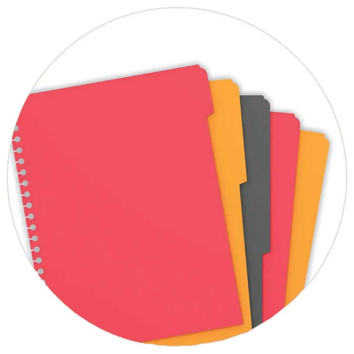 Cahier A4 Managerbook Lign&eacute; 6 mm 5x5 80g - Oxford 
