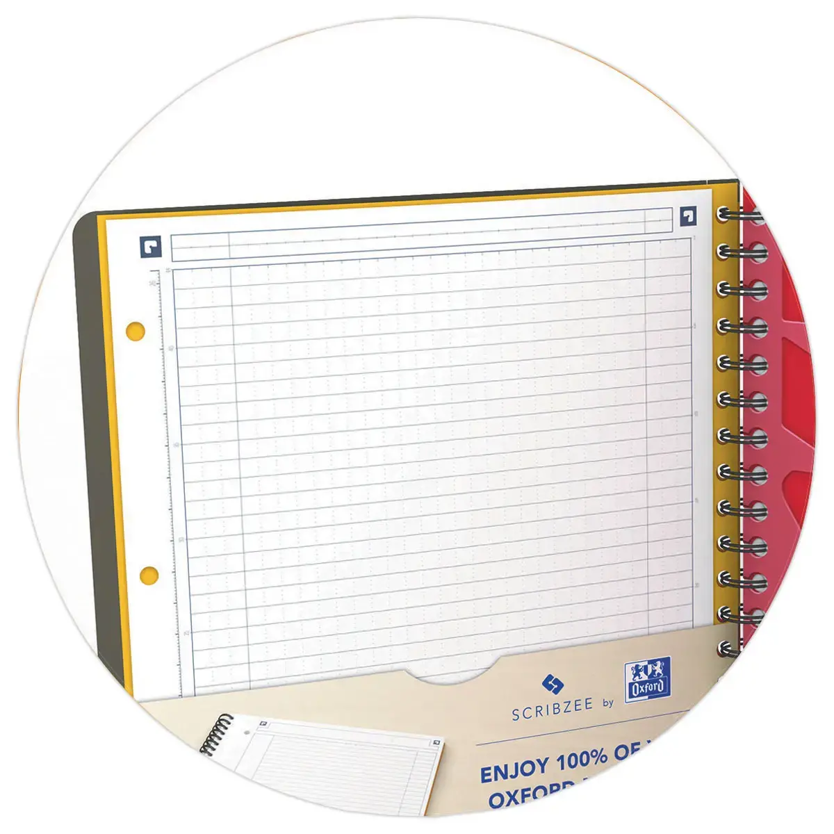 Cahier A4 Managerbook Lign&eacute; 6 mm 5x5 80g - Oxford 
