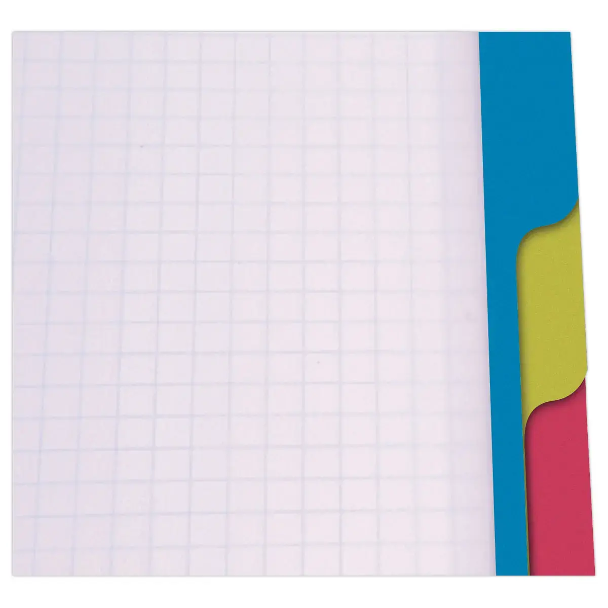 Cahier spirale A4+ Evolutiv'Book Linicolor - CLAIREFONTAINE